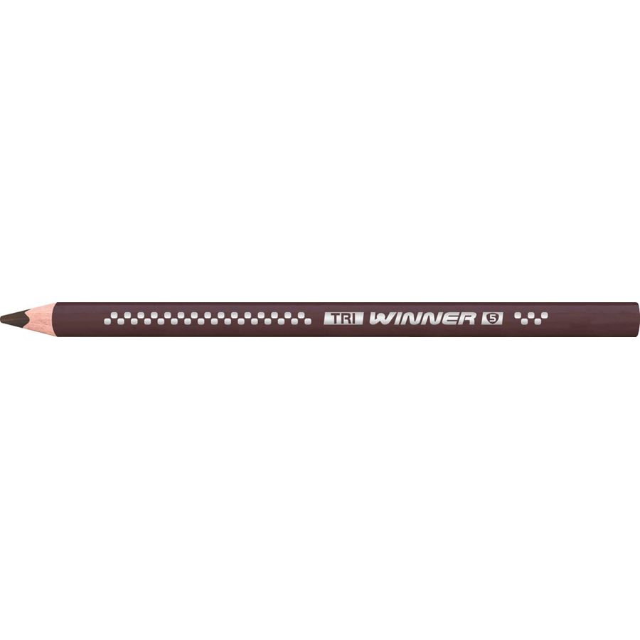 Eberhard-Faber - TRI Winner coloured pencil van Dyck brown